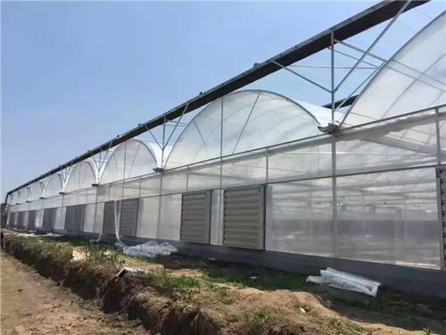 宣城温室大棚设计与施工全解析 贵贵温室打造高效农业蓝图