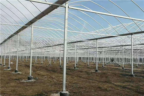 腾达农业 领跑张家口温室连栋大棚市场的高端厂家