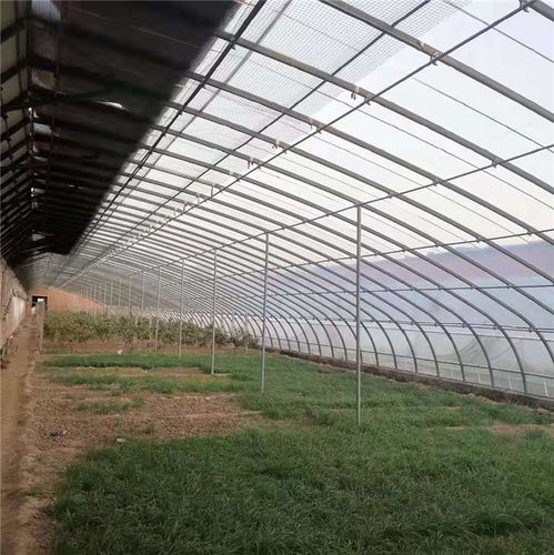 选择日光温室必读 专业厂家贵贵温室以诚信打造高品质高清案例解析