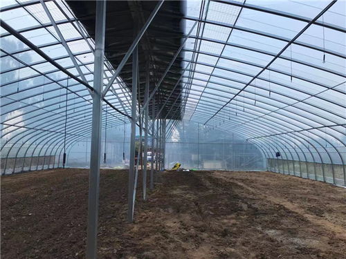 【阳泉】专业温室大棚搭建公司｜在线咨询｜实景图赏高清版