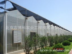 北京农博科科技发展温室大棚产品列表与亮点解析