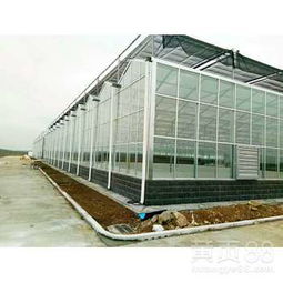 湖北宜昌首座4米墙体智能育苗温室 湘鄂边区现代农业的示范标杆