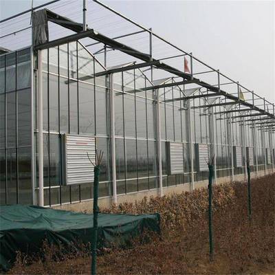 金沣农用花卉种植温室大棚玻璃智能大棚建造价格