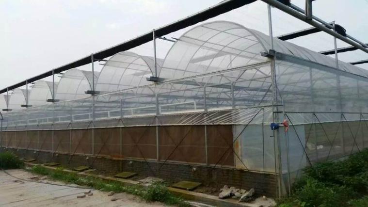 薄膜温室大棚建设中的水电和交通条件分析